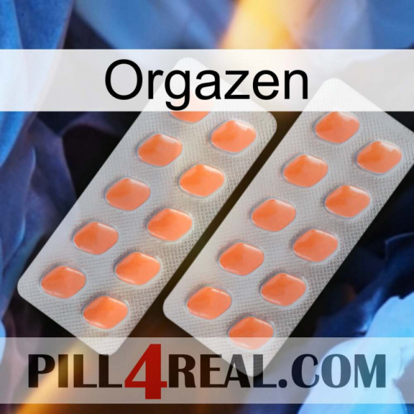 Orgazen 27.jpg